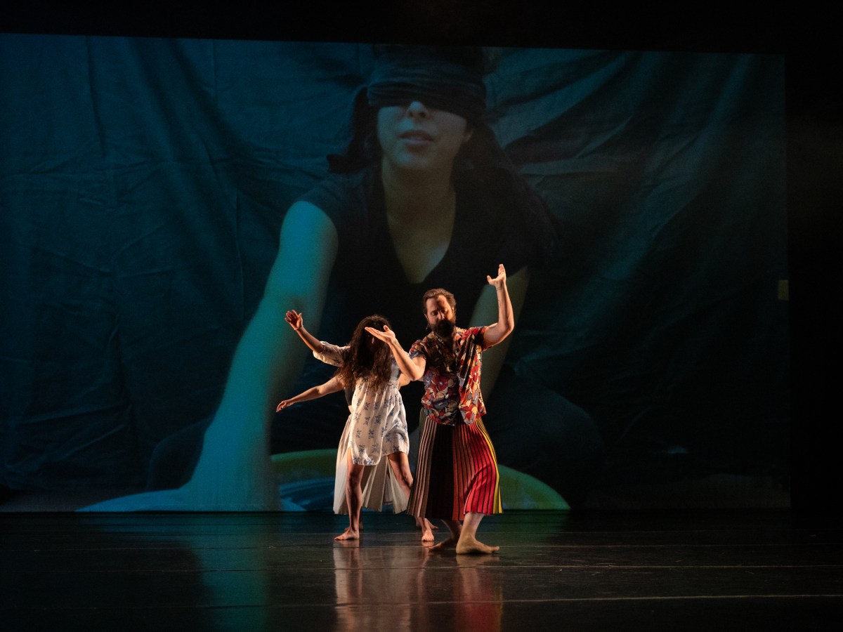 American Butterflies