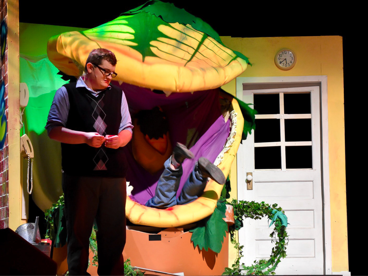 LITTLE SHOP OF&nbsp;HORRORS